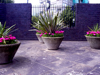 Paving, Pots and Plants