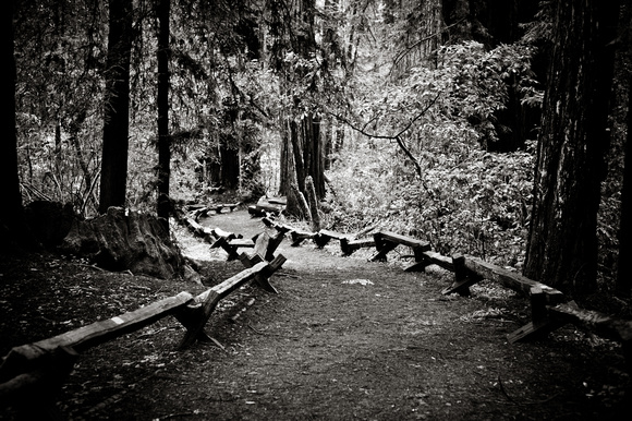 RedwoodSabbath-2434