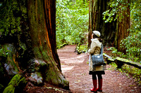 RedwoodSabbath-2432